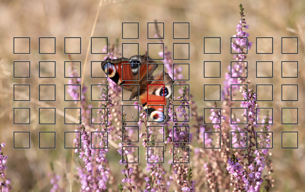 118371476-schmett-focus.jpg