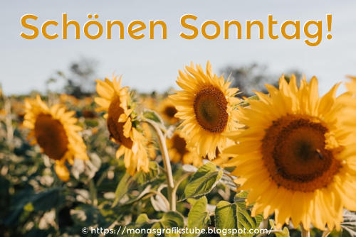 An den Beitrag angehängtes Bild: https://bilderupload.org/image/1f5075058-sonntag.jpg
