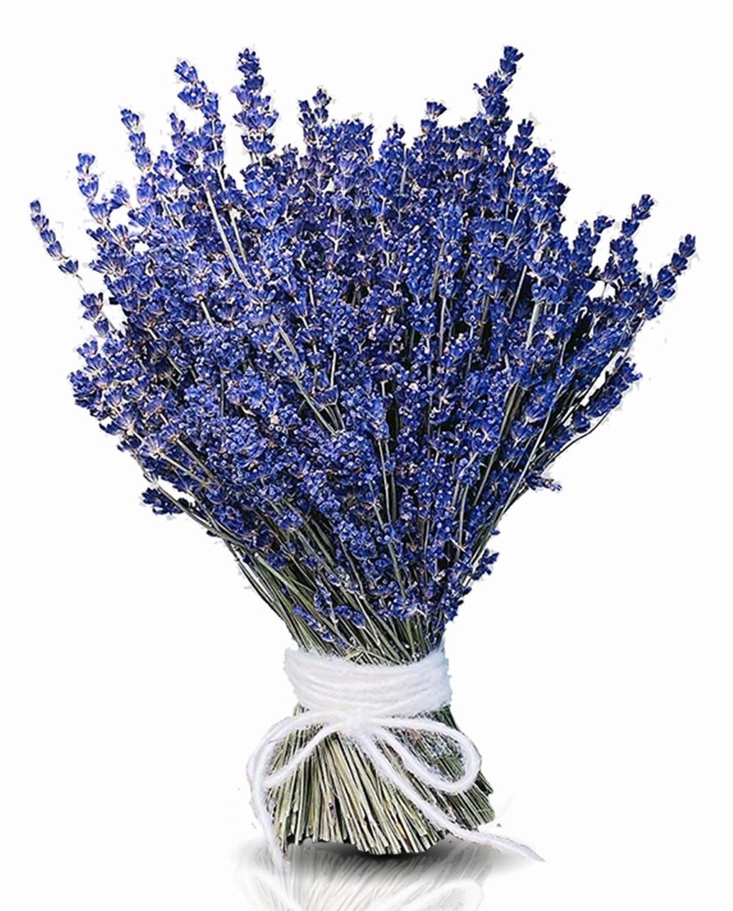 683232509-trockenstrauss-lavendel.jpg