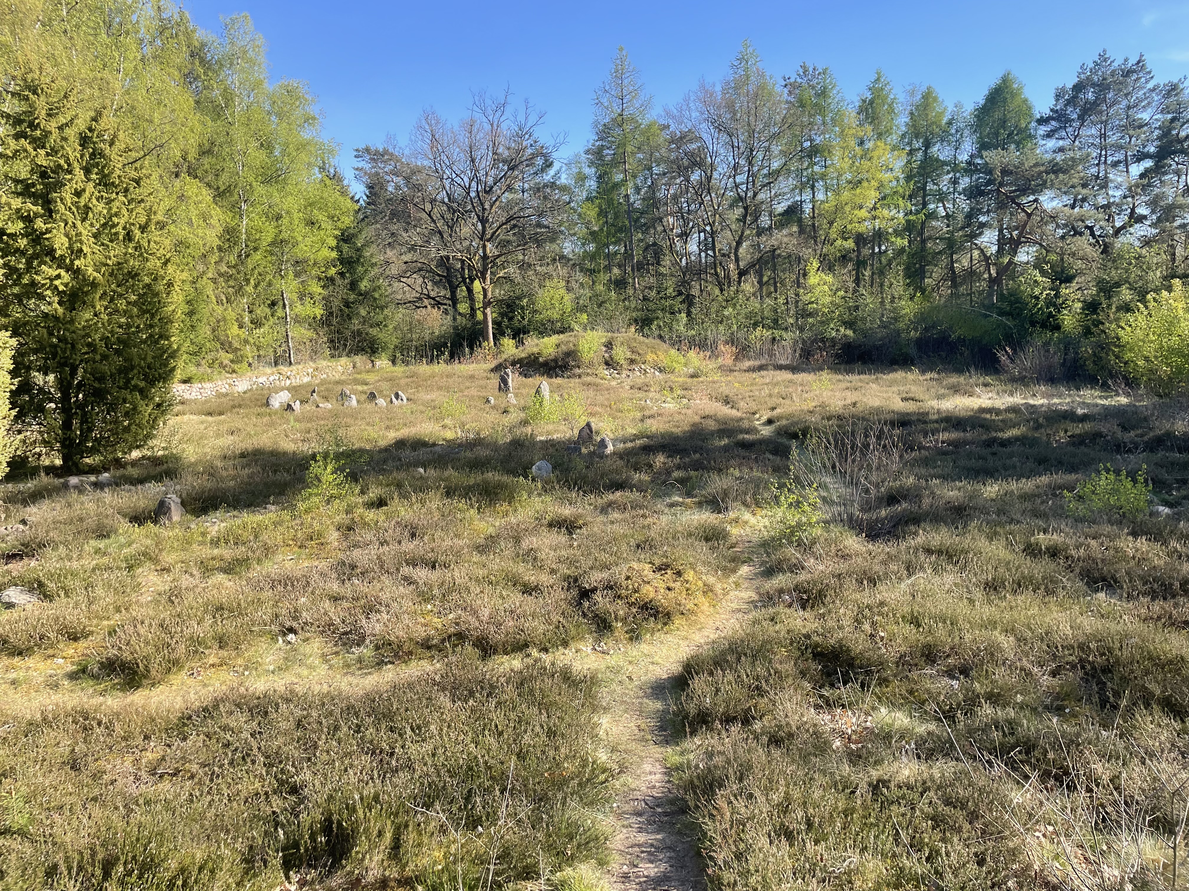8df789241-soderstorfer-nekropole1.jpg