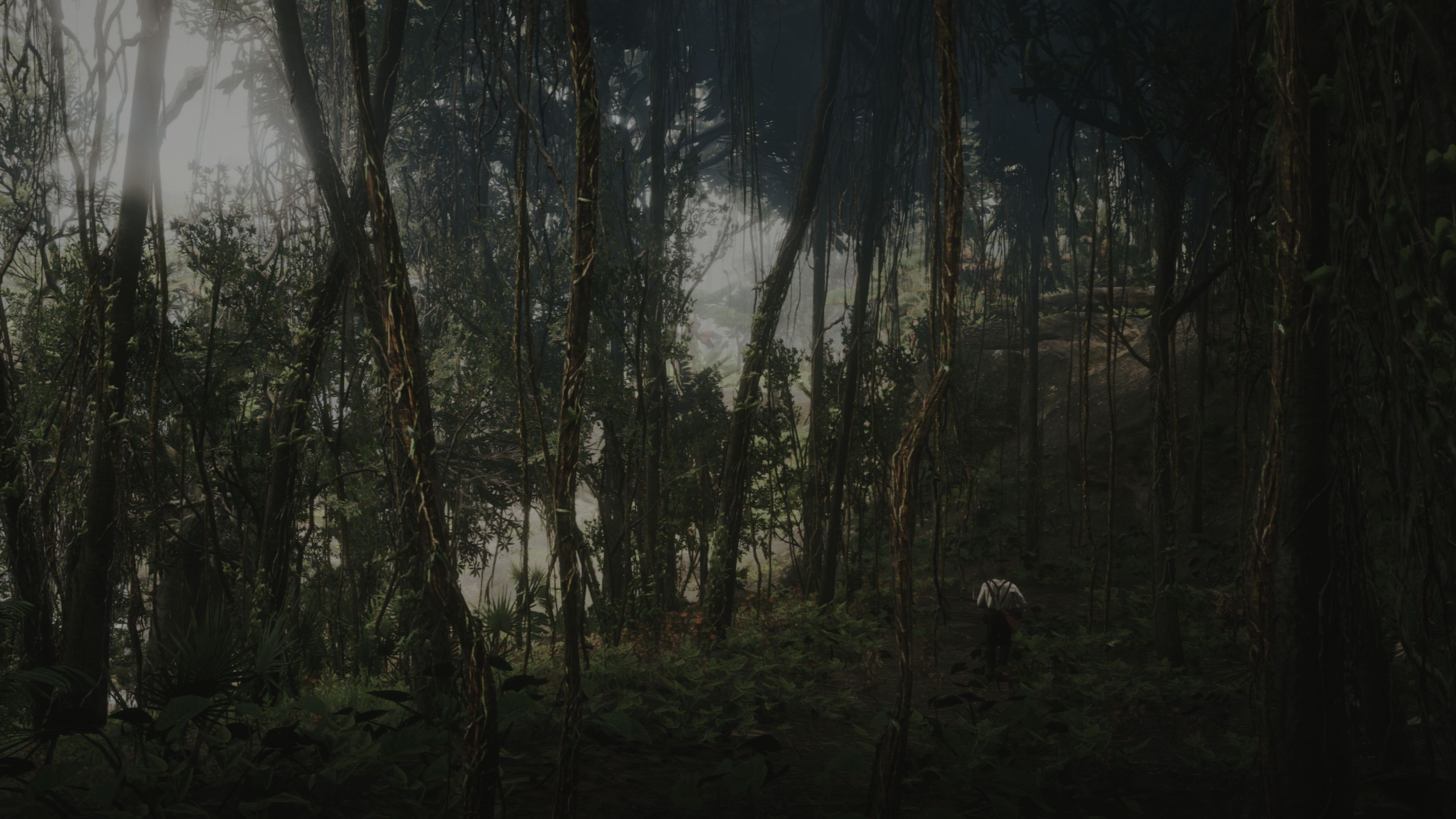 c33627723-red-dead-redemption-2-202.png
