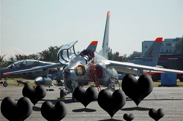 d4ca04483-bild7.jpg