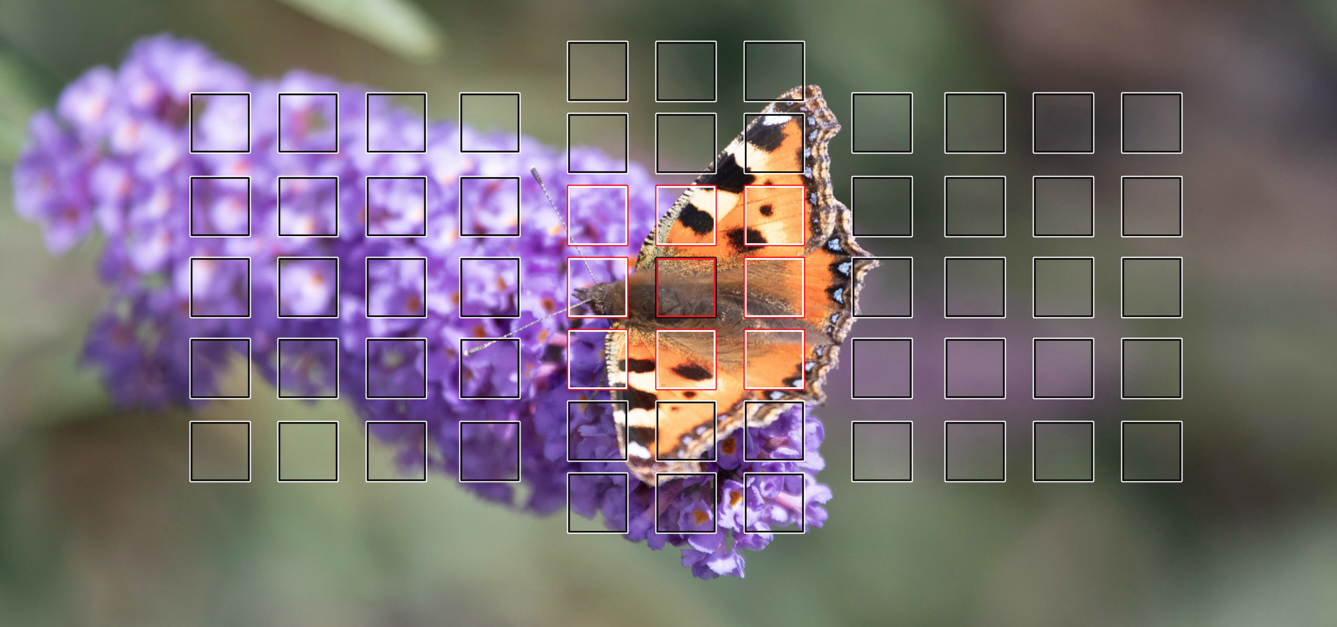 e8e583595-schmett2-focus.jpg