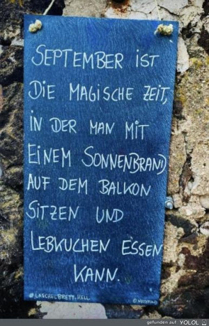 Dein hochgeladenes Bild