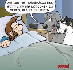 Dein hochgeladenes Bild