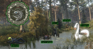 Dein hochgeladenes Bild