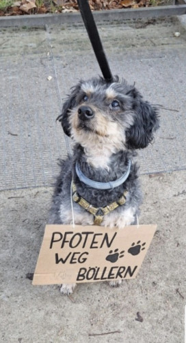 Dein hochgeladenes Bild