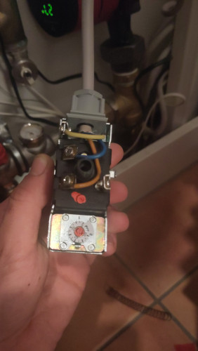 Dein hochgeladenes Bild