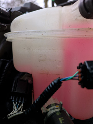 Dein hochgeladenes Bild